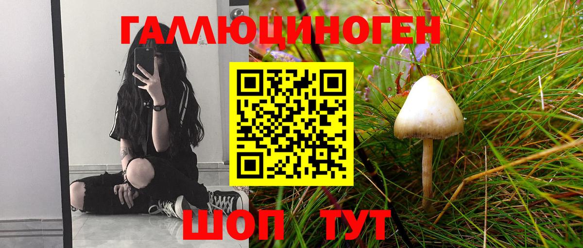 Псилоцибиновые грибы мицелий  Псилоцибиновые грибы прущие грибы  Ивантеевка  Вход с VPN 
