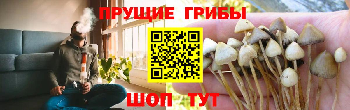 Псилоцибиновые грибы ЛСД Ивантеевка