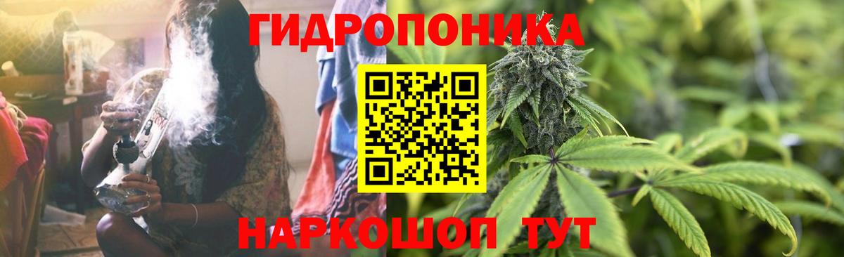Канабис планчик Ивантеевка